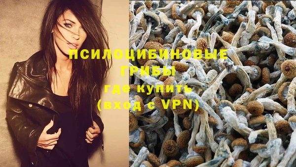 круглые Алзамай